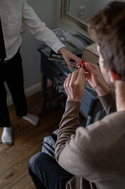 ariens deluxe 28 instruction manual